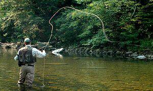 flyfishing