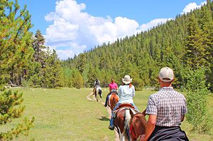 horseback-riding-colorado-rocky-mountains