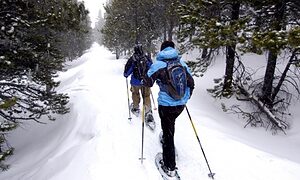 5884_7176_Breckenridge_Colorado_Snowshoe_md