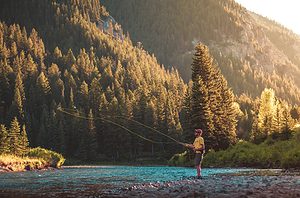 fly-fishing-925142_1280