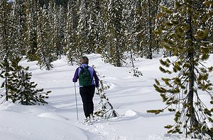 snow-shoeing-1393045_1280