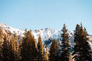 snowy colorado