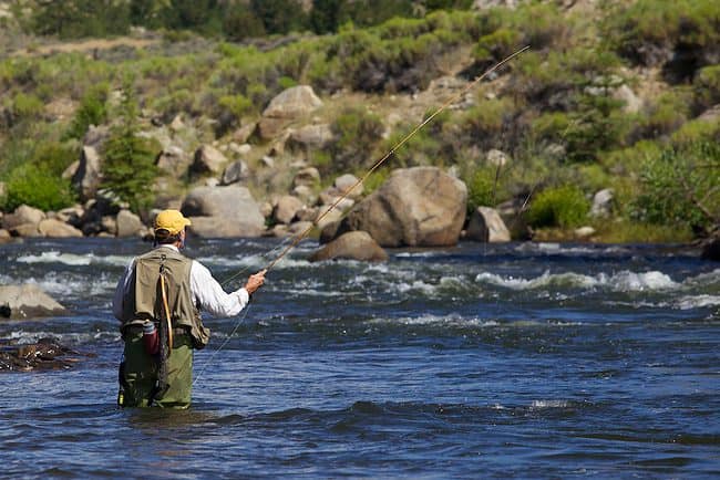 Fly Fishing Colorado