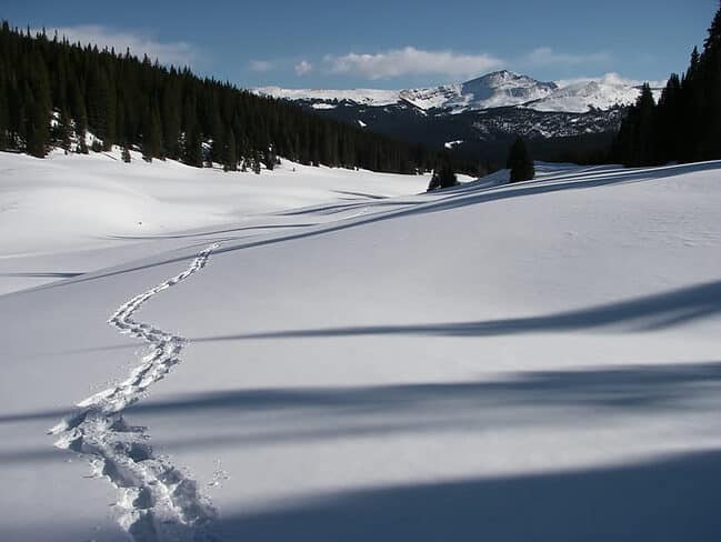 Snowshoeing in Breckenridge