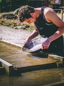 Man gold panning in creek