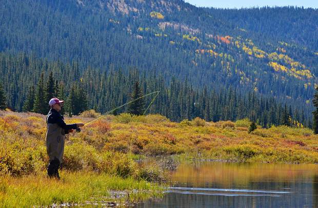 Summit County Fall Fly Fishing