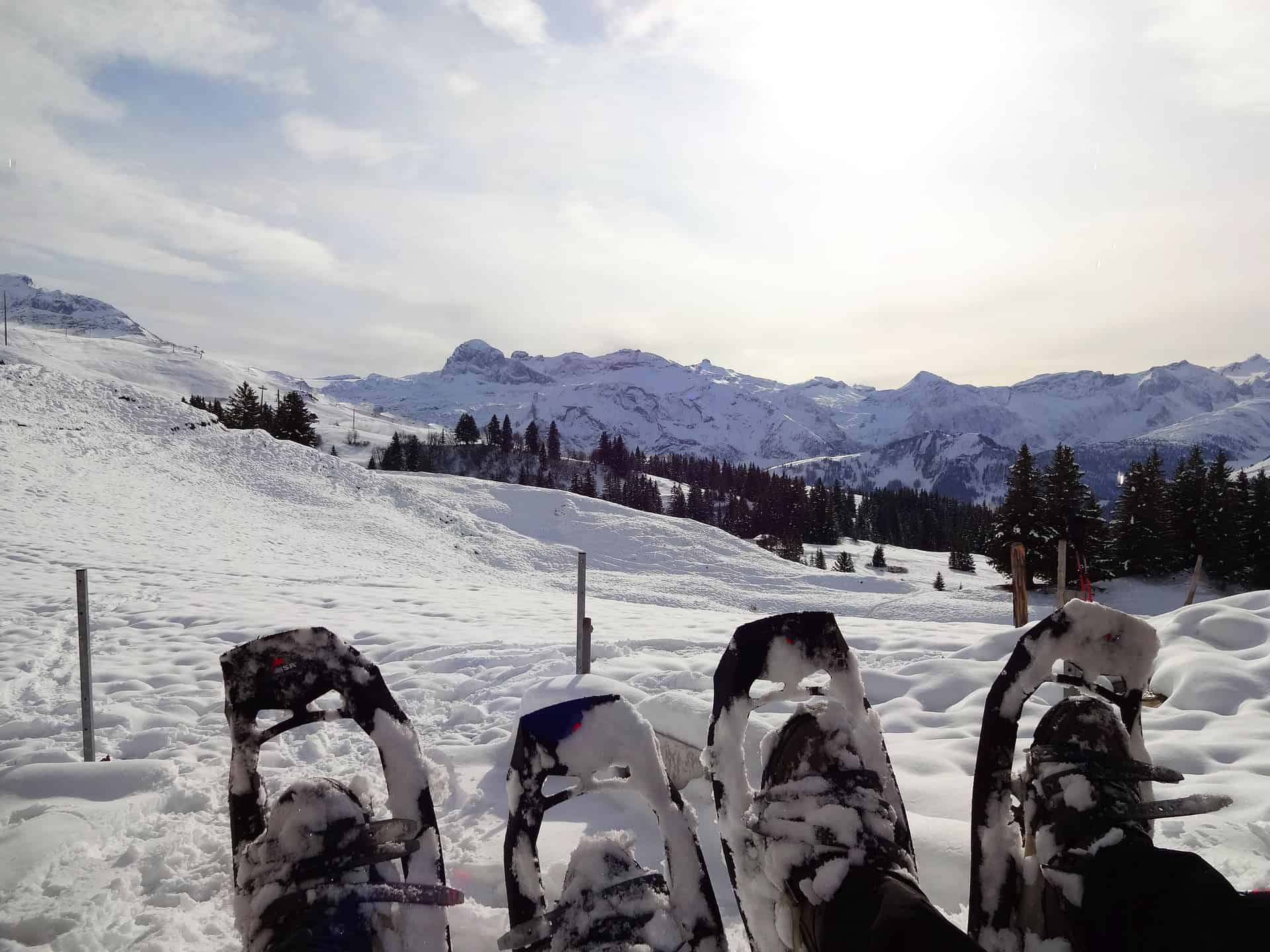 Snow Shoeing in Colorado