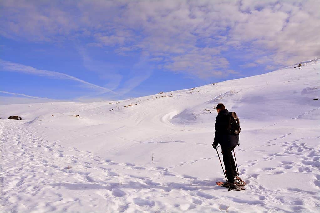 Breckenridge Snowshoe