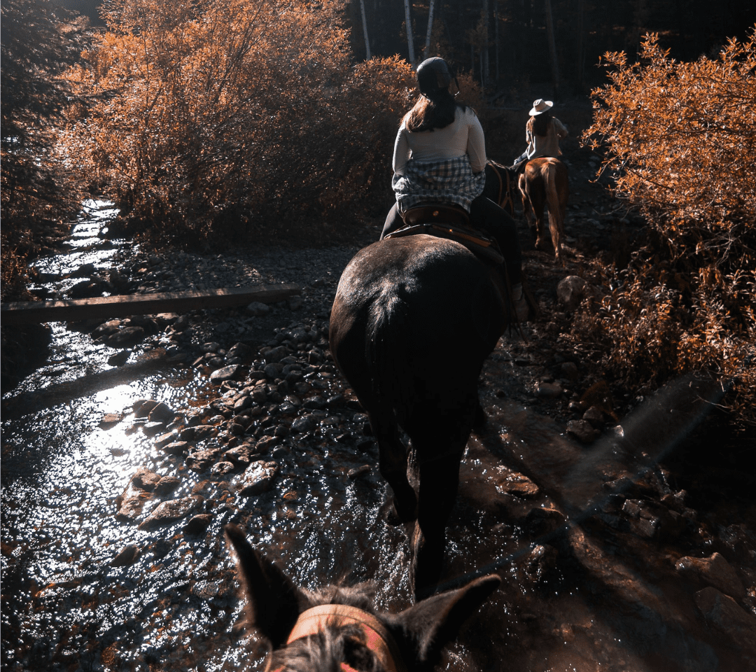 horseback riding tours breckenridge co