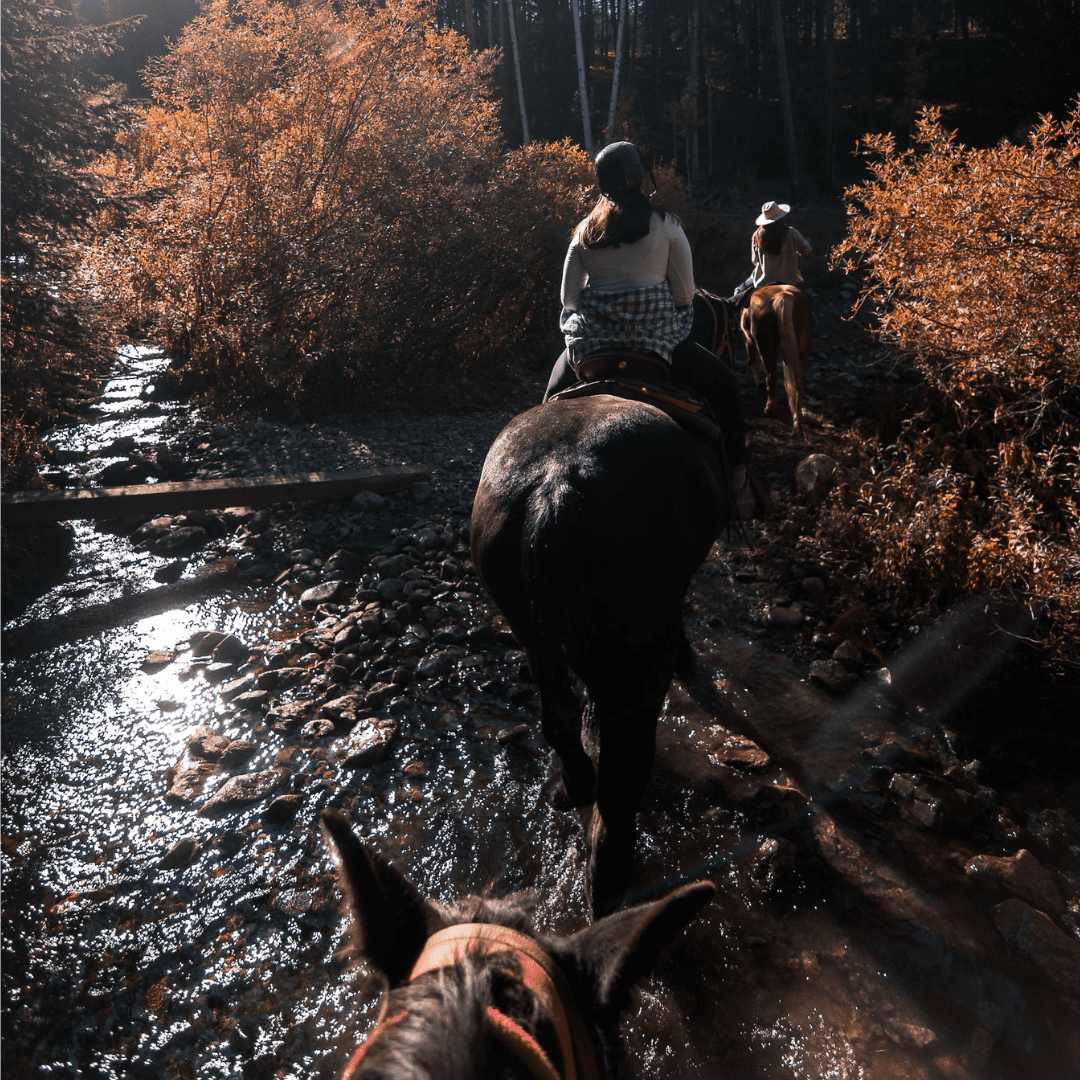 horseback riding tours breckenridge co
