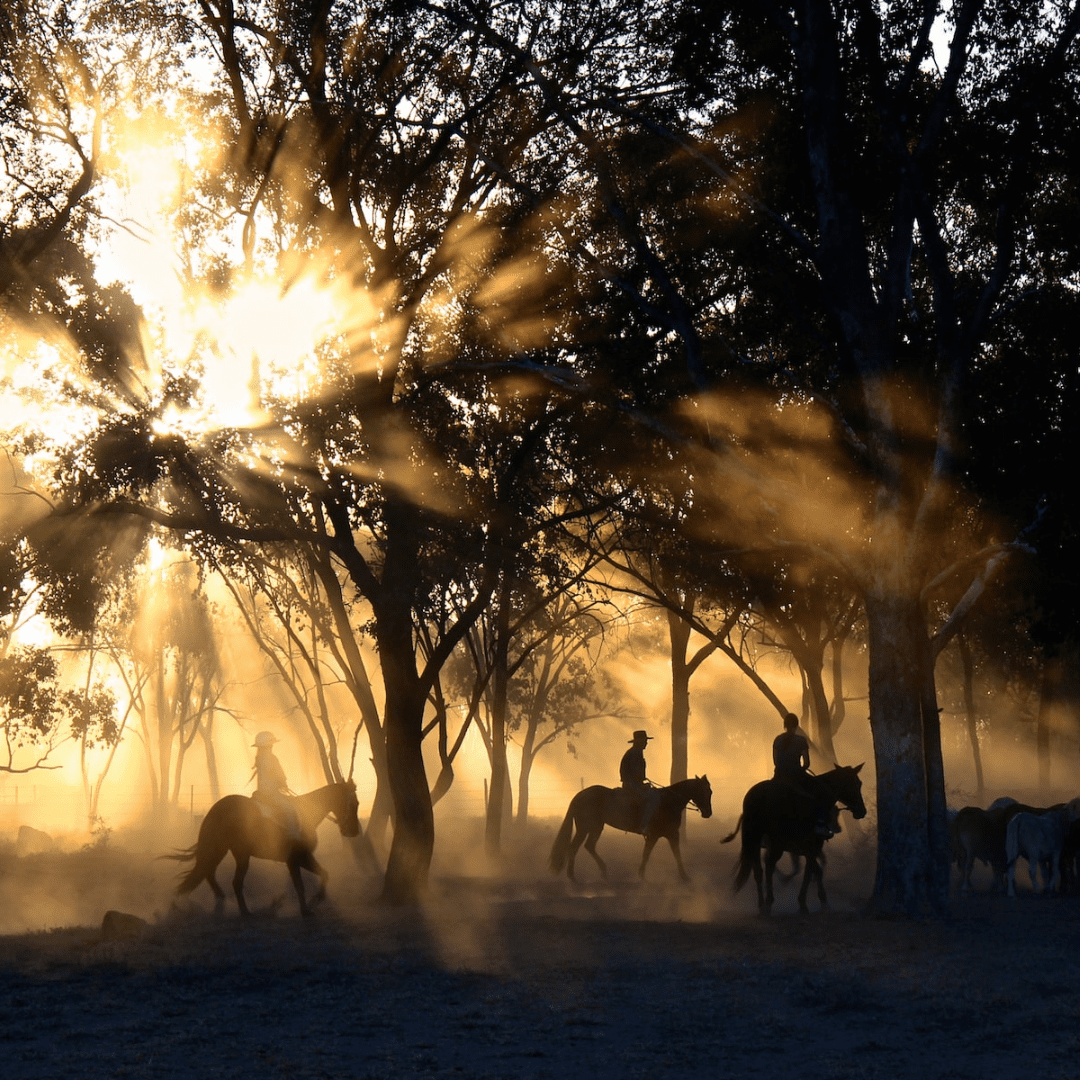breckenridge horseback riding tours