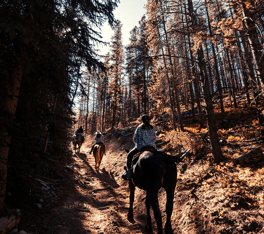 horseback riding in breckenridge co