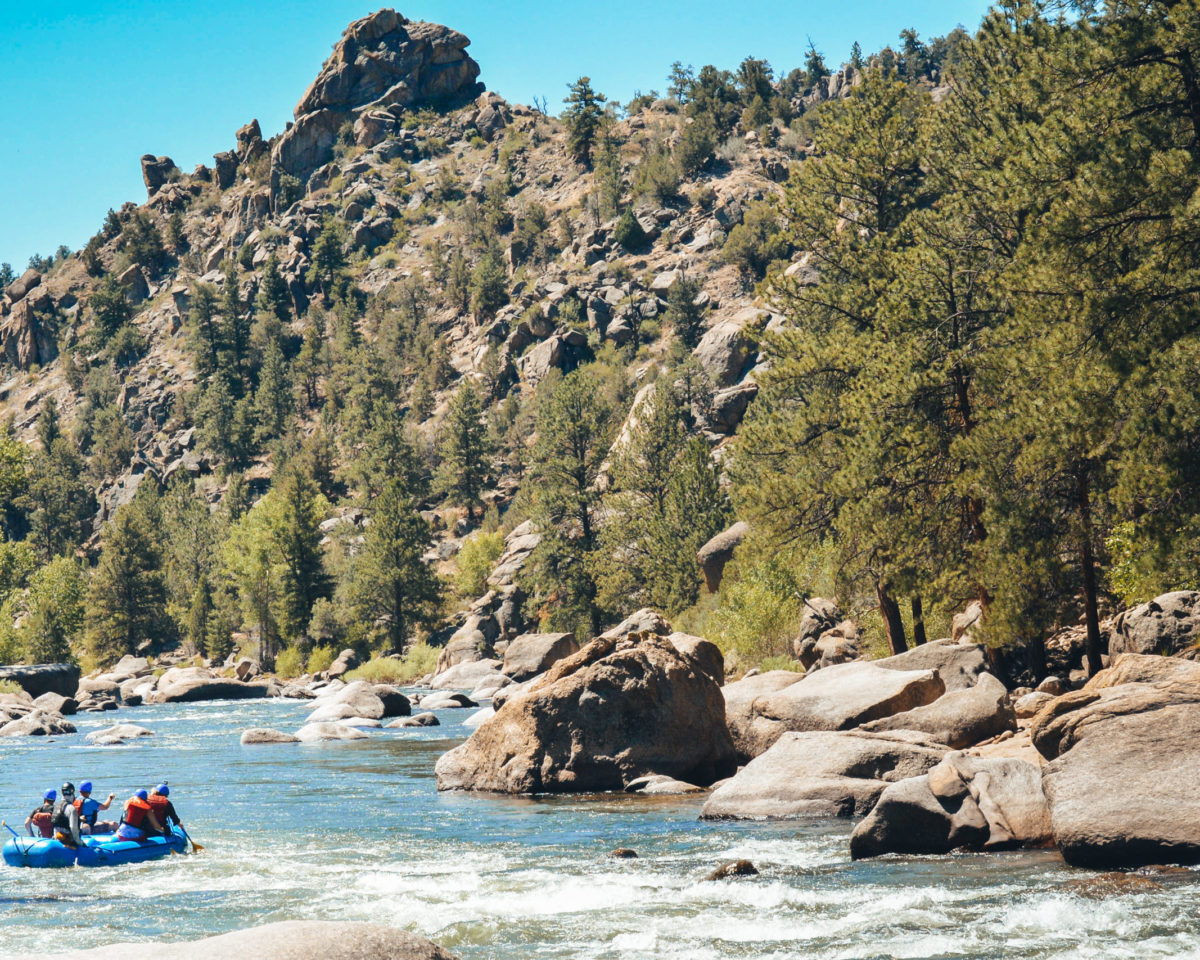 Brown's Canyon rafting trips