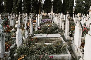 Cemetary with Flowers