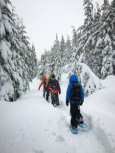Kids snowshoeing through forest