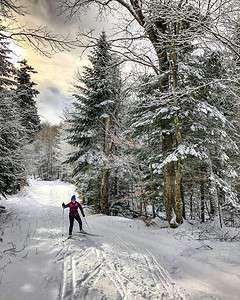 woman skate skiing through forest