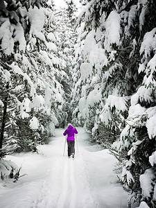 woman skiing through snowy forest